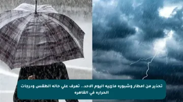 تحذير من أمطار وشبورة مائية اليوم الأحد.. تعرف على حالة الطقس ودرجات الحرارة في القاهرة